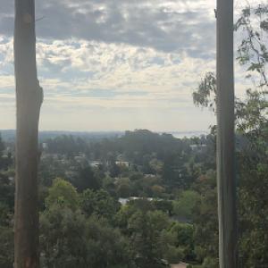 Mountain To Sea Tree Service