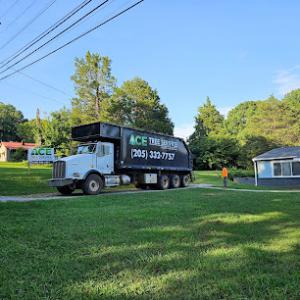 ACE Tree Service