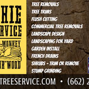 Hatchie Tree Service