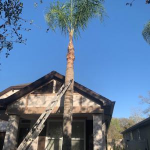 Sunshine Quality Cuts