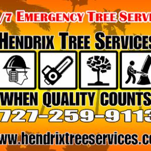 Safety First Tree Services