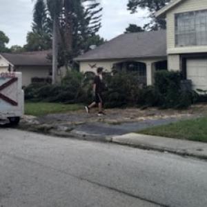 Prince tree trimming & custom woodwork