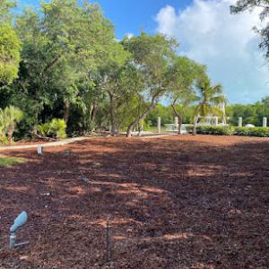 Reef Landscape & Tree Services