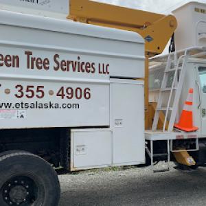 Evergreen Tree Services