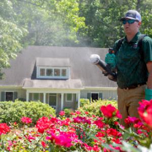 Arbor-Nomics Turf, Inc. Lawn Care Services & Grass Treatment