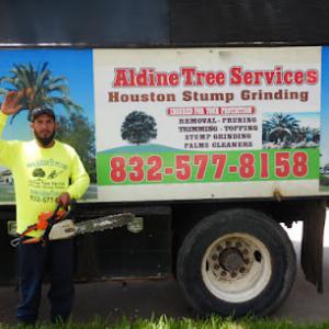 Aldine Tree Services Houston Stump Grinding