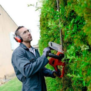 Luxury Tree Service & Landscaping