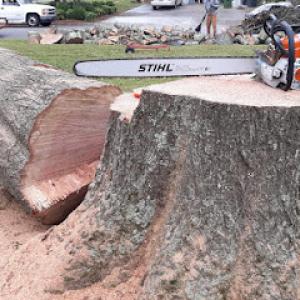 DNT Tree & Landscaping