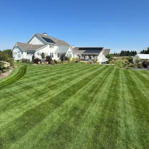 Evergreen Lawn & Tree