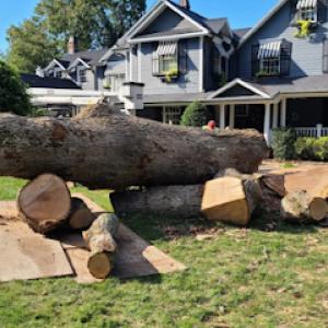 Cutting Edge Tree & Landscaping