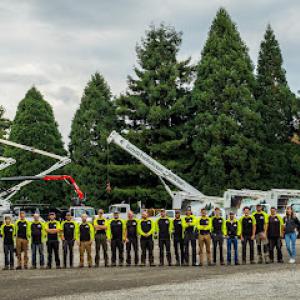 Eastside Tree Works
