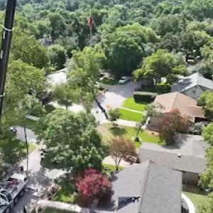 Redmond Tree Service Elite