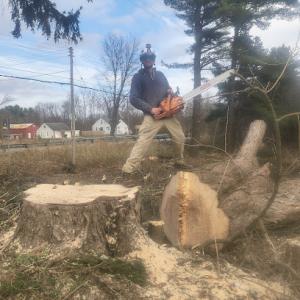 Metalback Tree Service