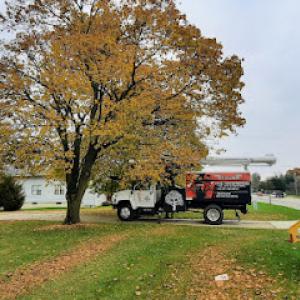 Total Tree Enterprise