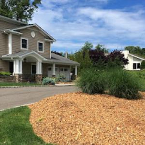 Bamboo Removal by Jose Benitez Landscaping Design