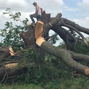 Hendrix Tree Service