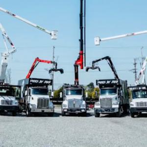 TREES BY JAKE Tree Service Tulsa