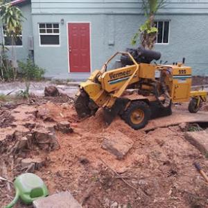 Ferns Landscaping & Tree Service