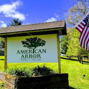 American Arbor