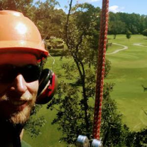 Berryman Tree Service