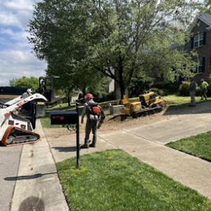 AB Tree Service