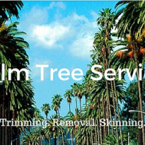Citywide Tree Landcare