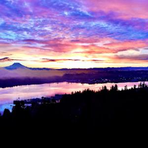 PNW Arborist Consulting