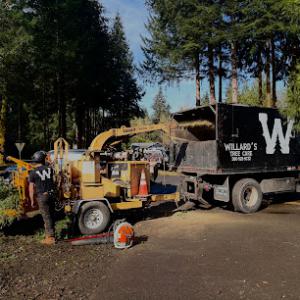 Willard's Tree Care