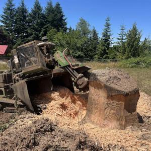 Rise N Grind Stump grinding