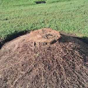 Mines Grinding & More