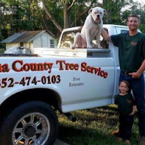 Alachua County Tree Service