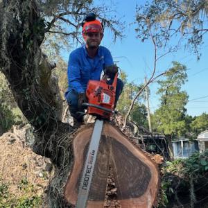 Whitmer's Property Maintenance