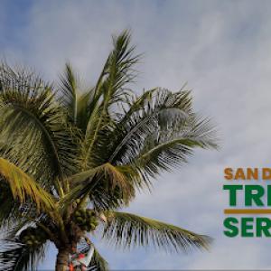 San Diego Tree Service