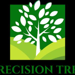 Precision Tree