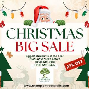 Champion Tree Care