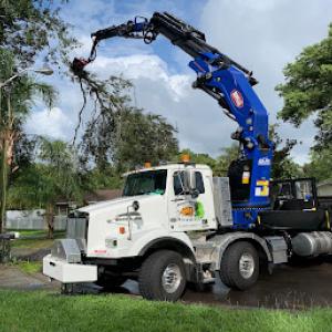 Knuckleheads Tree Service
