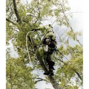Arbor Source Professional Tree Care