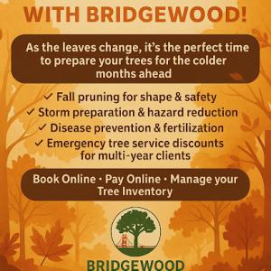 BridgeWood Tree Care