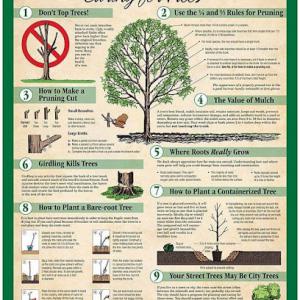 villarreal tree services