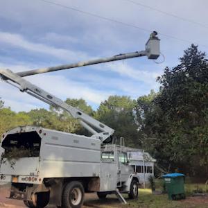 Timbershield Tree Services