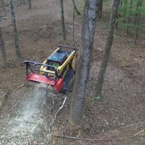 Bulk Co. Land Clearing - Cincinnati, OH