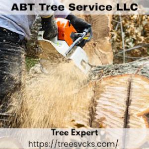 ABT Tree Service