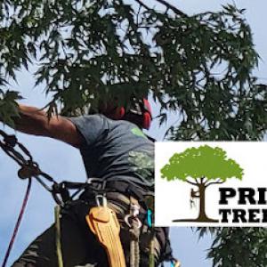 Prime Cut Tree Service