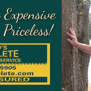 David's Complete Tree & Lawn Service