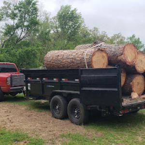JMJ Tree Care