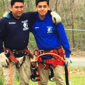 Pastor Tree Services