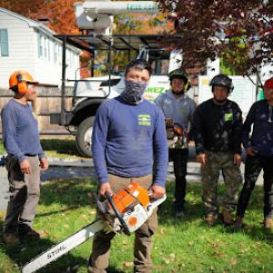 Juarez Landscaping & Tree Services