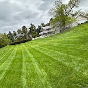 C&c green lawn care & complete landscaping service
