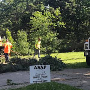 ASAP Tree Pros