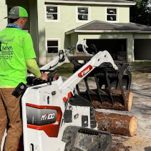 Loyal Tree Tree Services